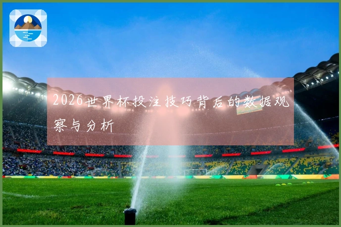 2026世界杯投注技巧背后的数据观察与分析