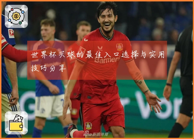 世界杯买球的最佳入口选择与实用技巧分享