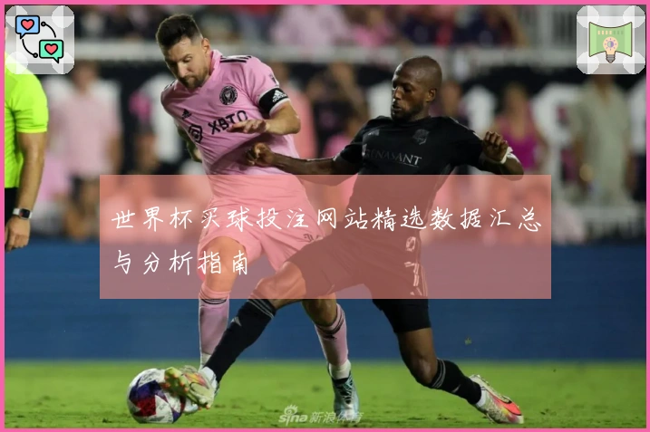世界杯买球投注网站精选数据汇总与分析指南