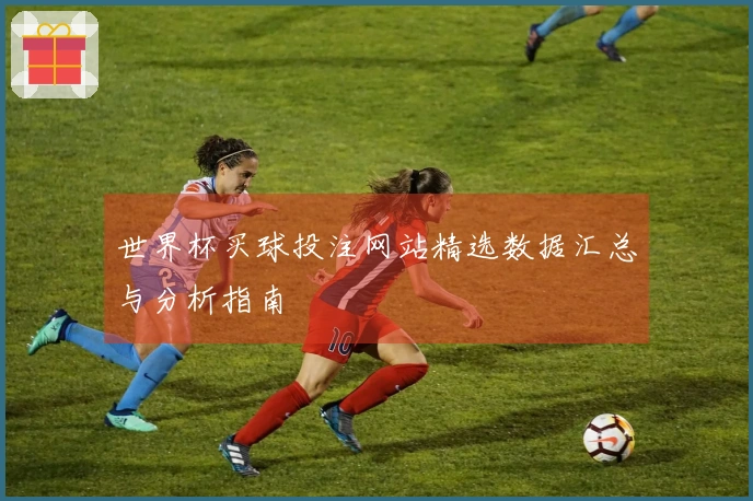 世界杯买球投注网站精选数据汇总与分析指南