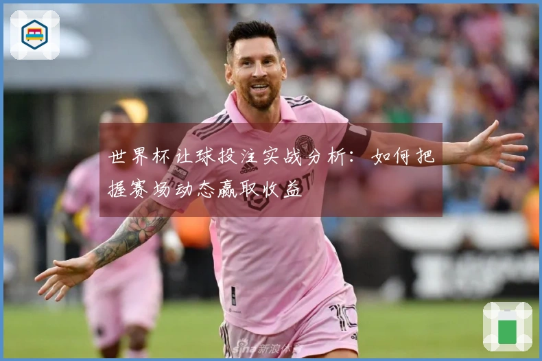 世界杯让球投注实战分析：如何把握赛场动态赢取收益